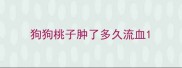 狗狗桃子肿了多久流血