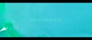 拉布拉多给教什么