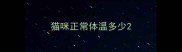 猫咪正常体温多少