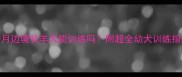 9个月边境牧羊犬能训练吗附超全幼犬训练指南