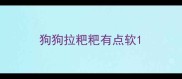 狗狗拉粑粑有点软