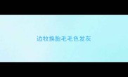 边牧换胎毛毛色发灰
