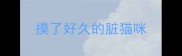 摸了好久的脏猫咪