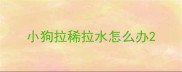 小狗拉稀拉水怎么办
