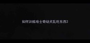 如何训练哈士奇幼犬乱吃东西