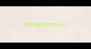 边牧咬破尾巴梢怎么办