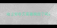 哈士奇冬天需要狗房子吗