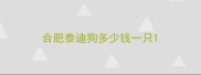 合肥泰迪狗多少钱一只