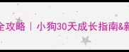 拉布拉多产后护理全攻略小狗30天成长指南新手家长必看注意事项