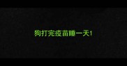 狗打完疫苗睡一天