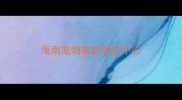 海南宠物救助领养中心