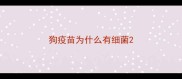 狗疫苗为什么有细菌
