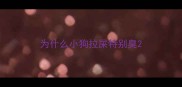 为什么小狗拉屎特别臭