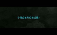 小猫疫苗打疫苗过量