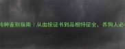 哈士奇纯种鉴别指南从血统证书到品相特征全养狗人必看干货