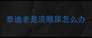 泰迪老是流眼屎怎么办