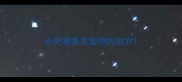 合肥哪里卖宠物的地方
