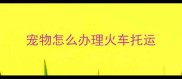 宠物怎么办理火车托运