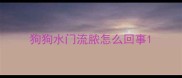 狗狗水门流脓怎么回事
