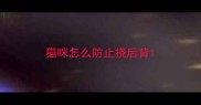 猫咪怎么防止挠后背