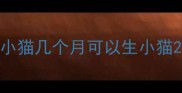 小猫几个月可以生小猫