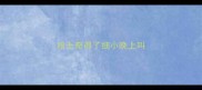 哈士奇得了细小晚上叫