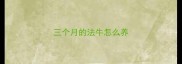 三个月的法牛怎么养