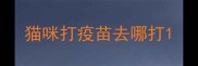 猫咪打疫苗去哪打