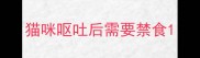猫咪呕吐后需要禁食