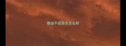 泰迪不疫苗会怎么样