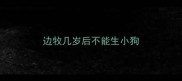 边牧几岁后不能生小狗