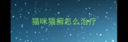 猫咪猫癣怎么治疗