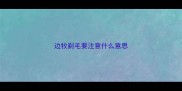 边牧剃毛要注意什么意思