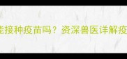 幼犬到家三天能接种疫苗吗资深兽医详解疫苗接种全流程
