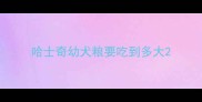哈士奇幼犬粮要吃到多大