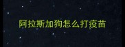 阿拉斯加狗怎么打疫苗