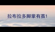 拉布拉多脚掌有茧