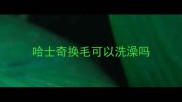 哈士奇换毛可以洗澡吗