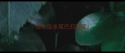 拉布拉多尾巴扫把尾