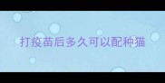 打疫苗后多久可以配种猫
