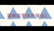 猫咪家里体外驱虫