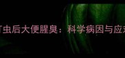 边牧打虫后大便腥臭科学病因与应对方案