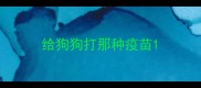 给狗狗打那种疫苗