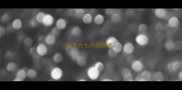 金毛六七月份掉毛