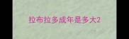 拉布拉多成年是多大