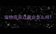 宠物疫苗过量会怎么样