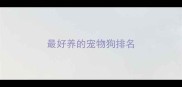 最好养的宠物狗排名