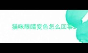猫咪眼睛变色怎么回事