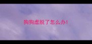 狗狗虚脱了怎么办
