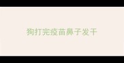 狗打完疫苗鼻子发干